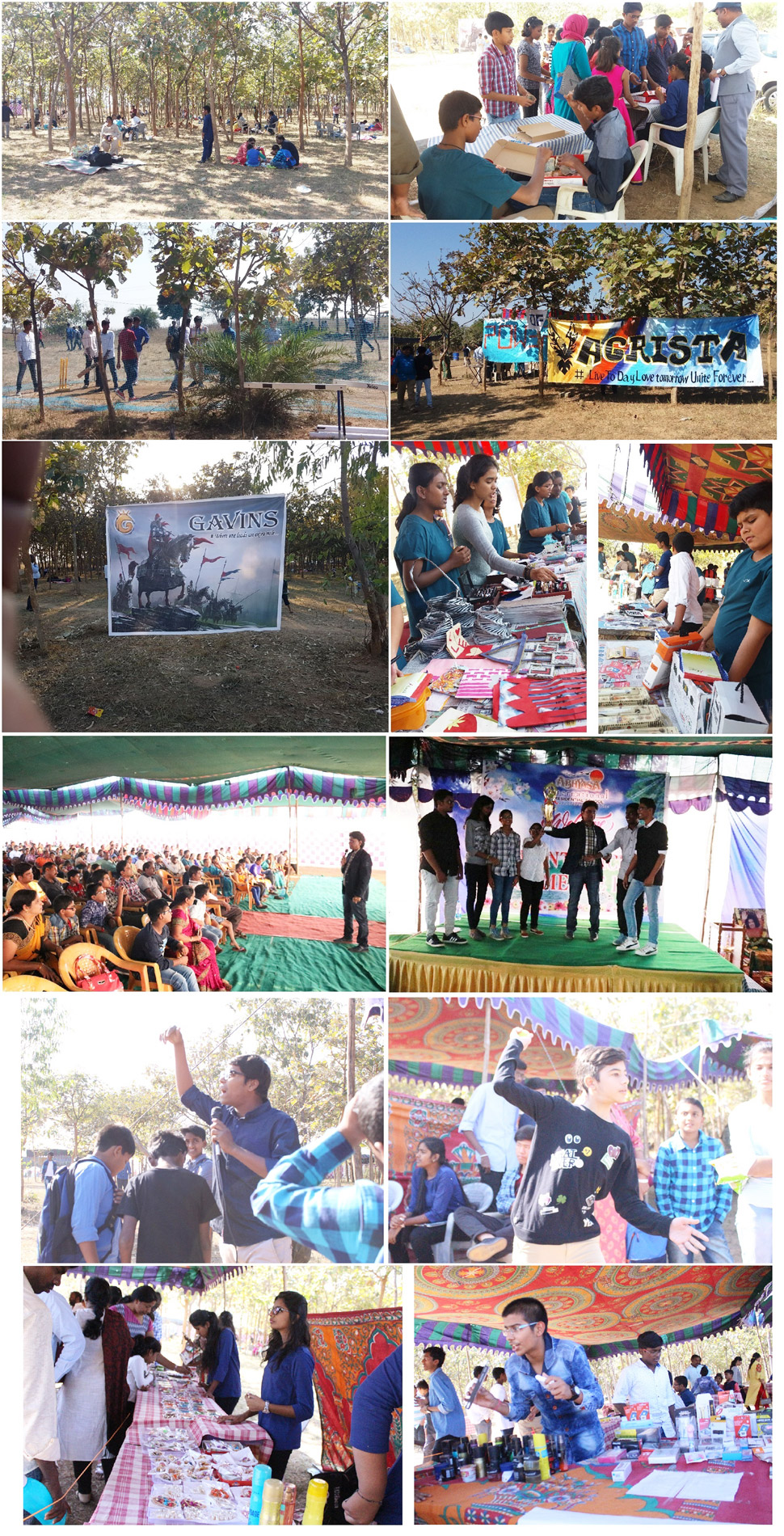 Parent's Picnic & Commerce Fest 2017