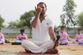International Yoga Day 