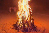 Holika Dahan Celebrations