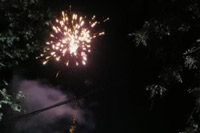 New Year Celebrations